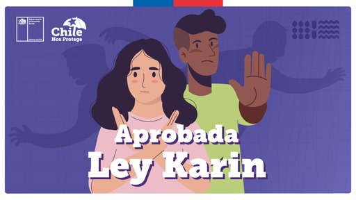 Curso Ley 21.643 (Ley Karin) - NO TIENE VALIDEZ LEGAL